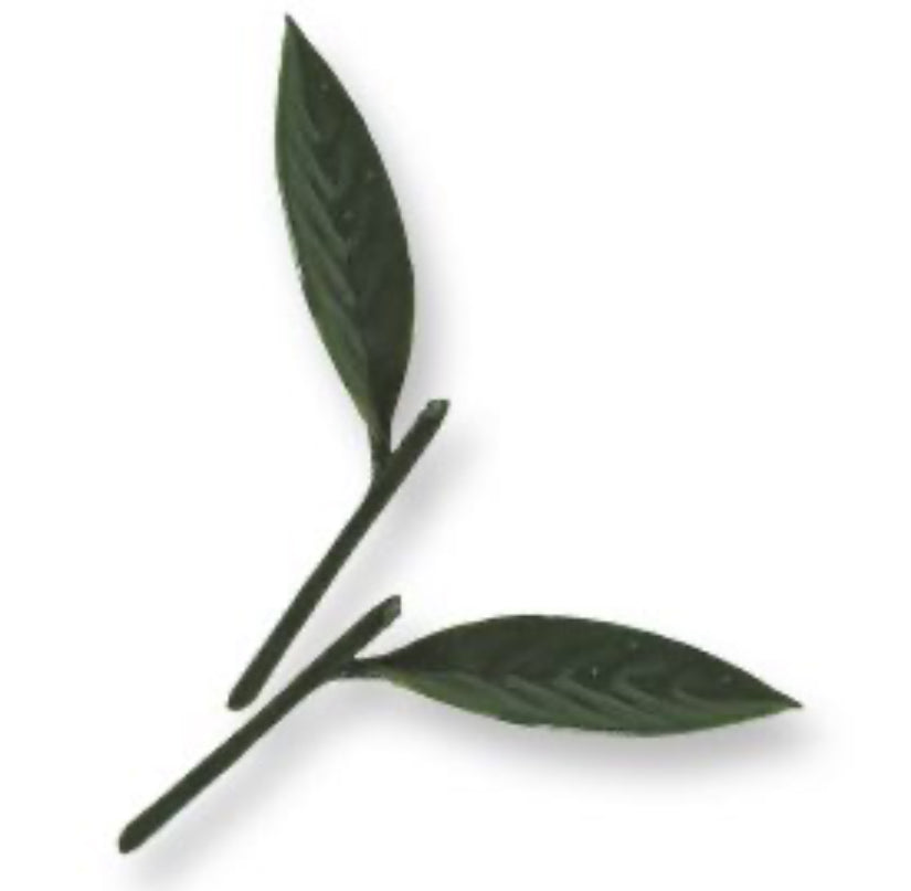 Peach Leaves (Plastic)
