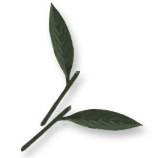 Peach Leaves (Plastic)
