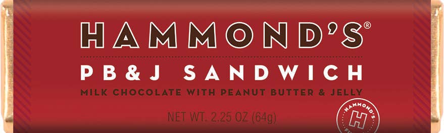 Hammond S Candies Pb And J Sandwich Milk Chocolate Candy Bar 2 25oz The Dessert Depot