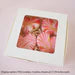 Single Cookie Presentation Box-5 pk